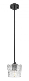 Niagara - 1 Light - 7 inch - Matte Black - Pendant (3442|434-1S-BK-G402)