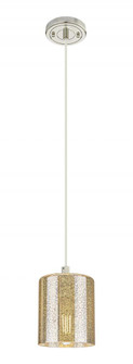 Cobbleskill - 1 Light - 5 inch - Polished Nickel - Cord Hung - Pendant (3442|434-1P-PN-G116)