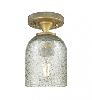 Caledonia - 1 Light - 5 inch - Brushed Brass - Semi-Flush Mount (3442|434-1F-BB-G259)