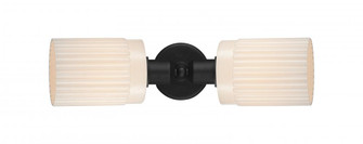 Hadley - 2 Light - 17 inch - Matte Black - Linear Bath Vanity Light (3442|900-2W-BK-G341)
