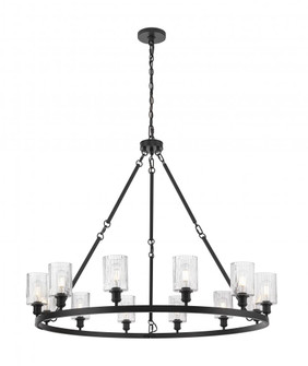 Hadley - 12 Light - 53 inch - Matte Black - Chain Hung - Chandelier (3442|850-BK-G342)