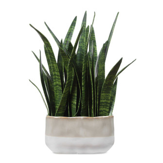 Uttermost Sansera Snake Accent Plant (85|60271)