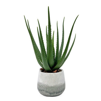 Uttermost Veranda Indoor-Outdoor Aloe Plant (85|60262)