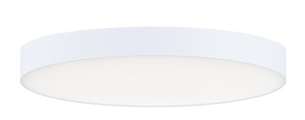 Trim Eco 7'' RD LED Flush Mount 3000K (19|57332WTWT)