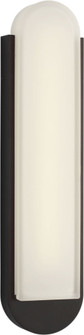 Dante 22'' Sconce (7725|SCDJOWS14930TXBWPG)
