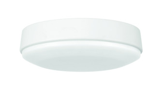 Charming LED Light Kit in White (For use with CHM52xxx3) (20|CHM52LK-W-LED)