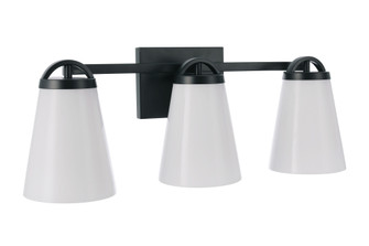 Zane 3 Light Vanity in Flat Black (20|20723FB3)