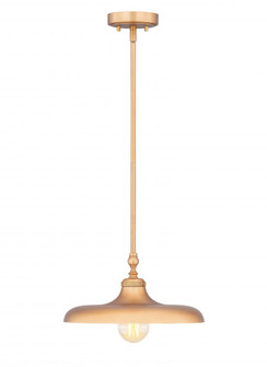 1 Light Pendant (276|2308P14-RB)