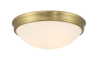Baumann 14'' Wide 3-Light Flush Mount (670|5225-VB)