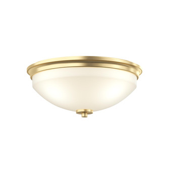P3423-191 2-60W MED FLUSH MOUNT (149|P3423-191)