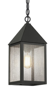 BRASS TRADITIONS - Ashford - 1 Light - 14 inch - Matte Black - Solid Brass - Pendant (3442|9522-BK-SDY)