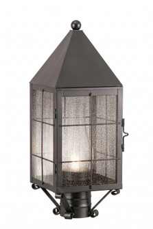BRASS TRADITIONS - Ashford - 1 Light - 19 inch - Gunmetal - Solid Brass - Post Lantern (3442|9520-H-GM-SDY-C)