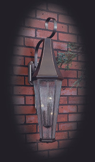 3-Light Siena Bronze Le Havre Exterior Wall Mount (84|8925 SBR)