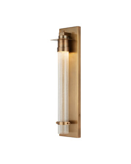 Provence Brass Outdoor Wall Sconce (92|5500-0067)
