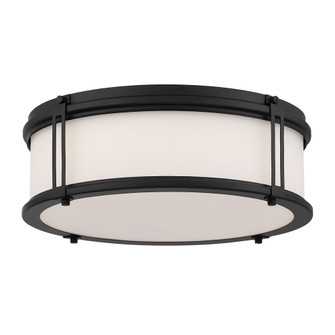 Merick 15'' LED Flush Mount (10|16014-899-L)