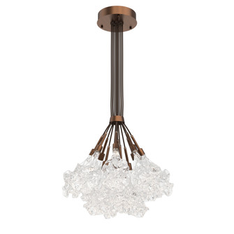 Blossom 12pc Cluster Bloom (1289|CHB0059-0M-RB-BC-C01-L1-000)