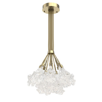 Blossom 12pc Cluster Bloom (1289|CHB0059-0M-HB-BC-C01-L1-000)