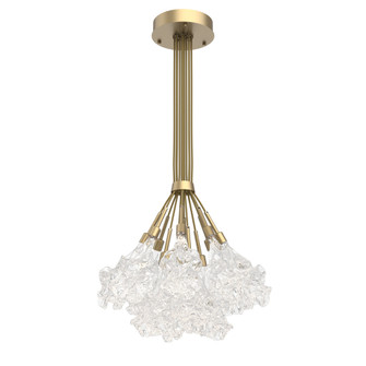 Blossom 12pc Cluster Bloom (1289|CHB0059-0M-GB-BC-C01-L3-000)