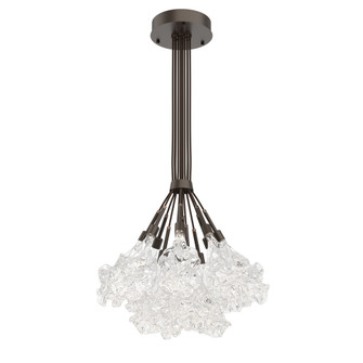 Blossom 12pc Cluster Bloom (1289|CHB0059-0M-FB-BC-C01-L1-000)