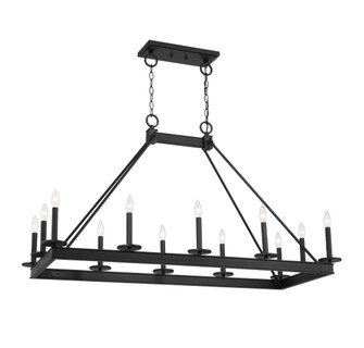 Boylston 12-Light Linear Chandelier in Matte Black (641|L1-2102-12-89)