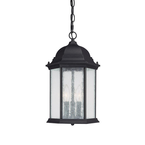 3 Light Outdoor Hanging Lantern (42|9836BK)