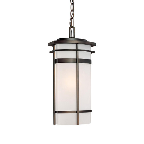 1 Light Outdoor Hanging Lantern (42|9885OB)