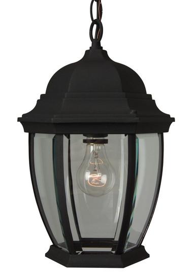 Bent Glass Cast 1 Light Outdoor Pendant in Textured Black (20|Z281-TB)