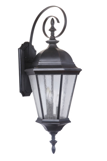 Chadwick 3 Light Large Outdoor Wall Lantern in Oiled Bronze Gilded (20|Z2924-OBG)