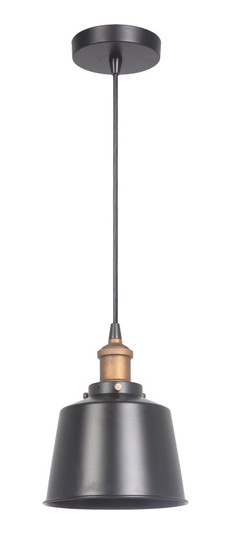 1 Light Mini Pendant in Matte Black/Patina Aged Brass (20|P760MBKPAB1)