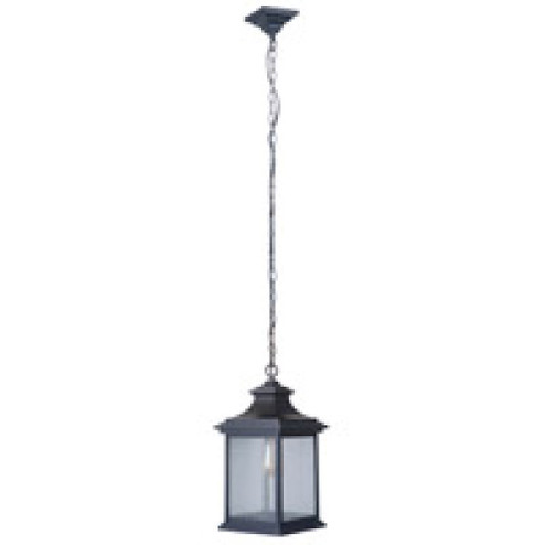 Gentry 1 Light Medium Outdoor Pendant in Midnight (20|Z3211-MN)