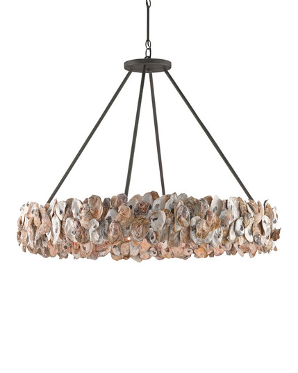 Oyster Shell Chandelier (92|9672)