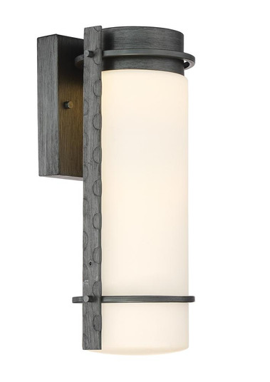 Aldridge LED Wall Lantern (21|LED34311-WI)