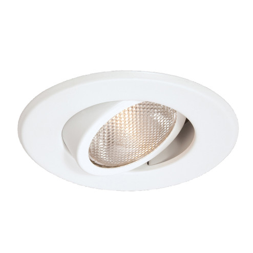 Trim, 4in, Par20 Gimbal, White (4304|19165-02)