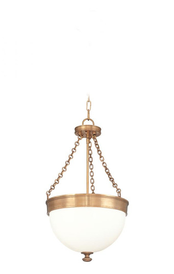 Barrington Pendant (57|324-HB)