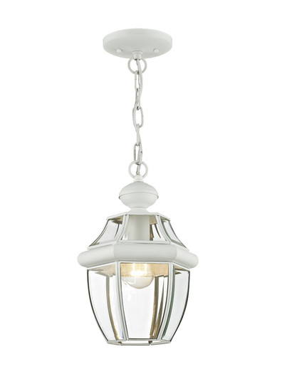 1 Light White Outdoor Chain Lantern (108|2152-03)