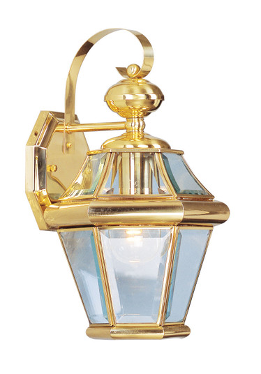 1 Light PB Outdoor Wall Lantern (108|2161-02)