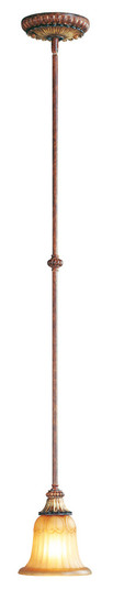 1 Light VBZ Mini Pendant (108|8570-63)