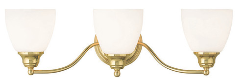 3 Light Polished Brass Bath Light (108|13673-02)