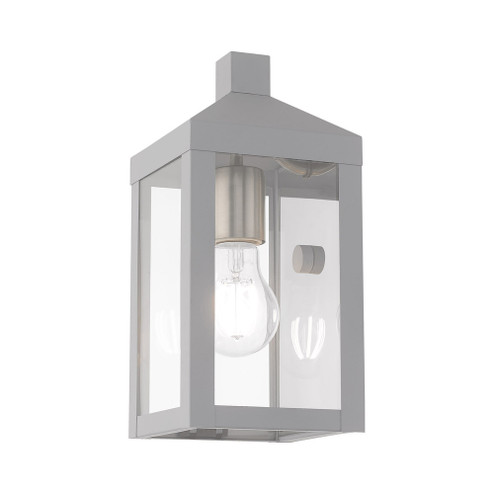 1 Lt Nordic Gray Outdoor Wall Lantern (108|20581-80)