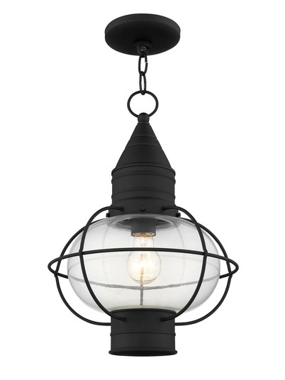 1 Light Black Outdoor Chain Lantern (108|26906-04)