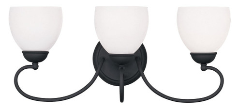 3 Light Black Bath Light (108|4753-04)