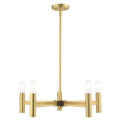 5 Lt Satin Brass Chandelier (108|51135-12)