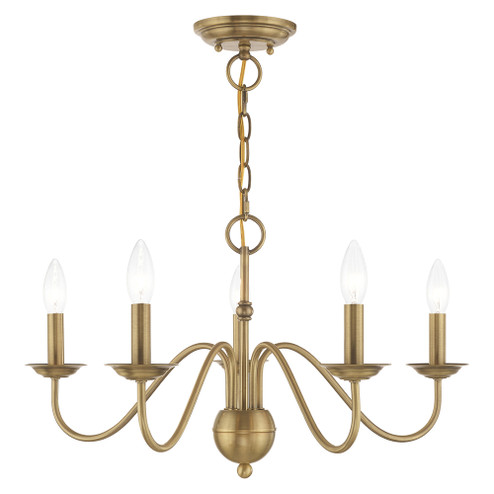 5 Lt Antique Brass Chandelier (108|52165-01)