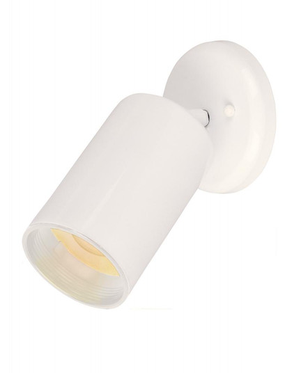 Spots-Flush Mount (19|92010WT)