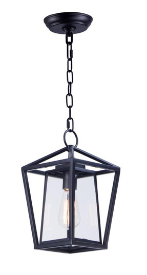 Artisan-Outdoor Hanging Lantern (19|3179CLBK)
