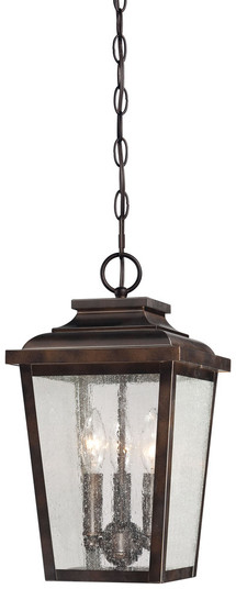 Irvington Manor - 3 Light Chain Hung Lantern (10|72174-189)