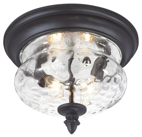 Ardmore™ - 2 Light Outdoor Flush Mount (10|9909-1-66)