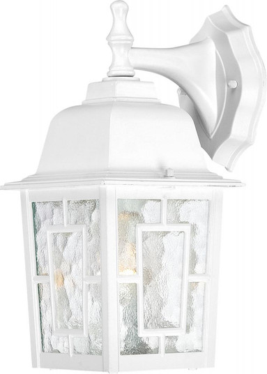 Banyan - 1 Light 12'' Wall Lantern with Clear Water Glass - White Finish (81|60/4921)