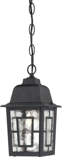 Banyan - 1 Light 11'' Hanging Lantern with Clear Water Glass - Textured Black Finish (81|60/4933)