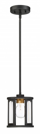 Payne - 1 Light Mini Pendant with Clear Beveled Glass - Midnight Bronze Finish (81|60/6412)